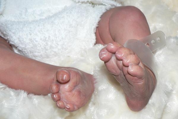 Reborn Baby Boy for Sale by Fay O'Neal